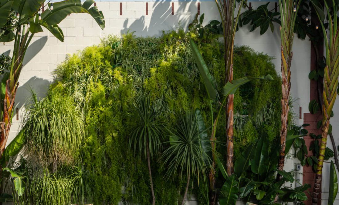Garden Courtyard